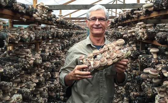 Jeff Chilton - Organic Shiitake Farm