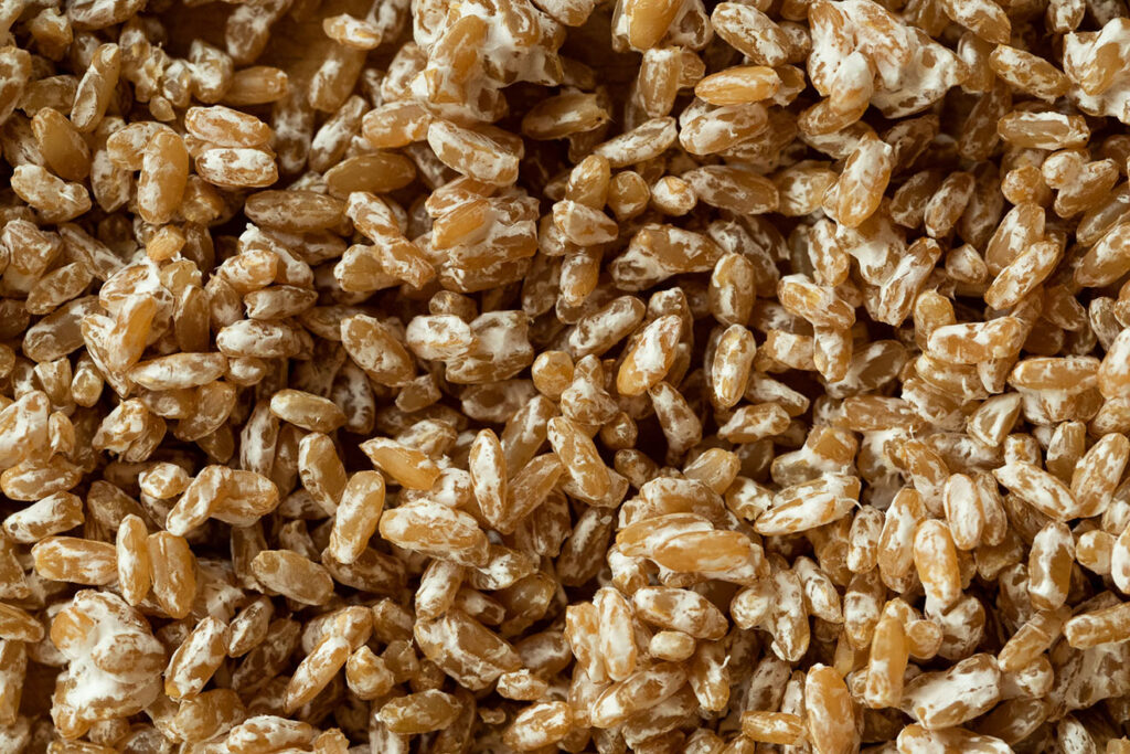 Medicinal Mushroom Pioneer Challenges Mycelium Potency