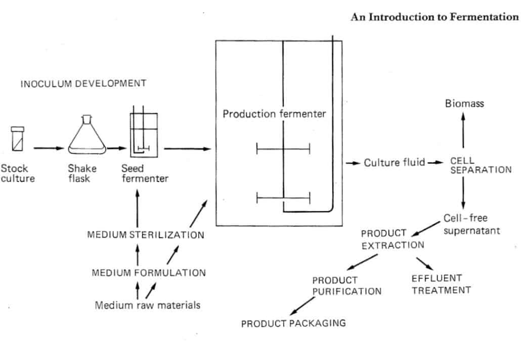 Liquid Fermentation Flow Chart