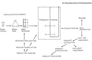 Liquid Fermentation Flow Chart