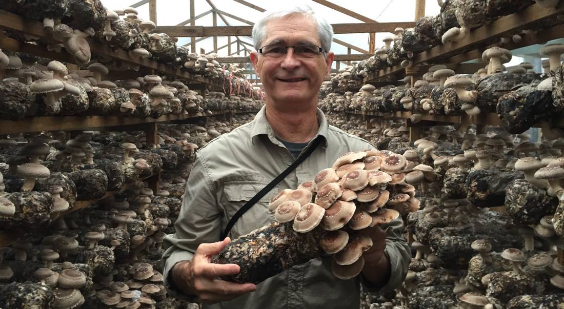 Jeff Chilton - Organic Shiitake Farm