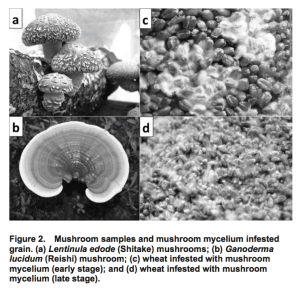 Measurement of β-Glucan in Mushrooms and Mycelial Products - Figure 2