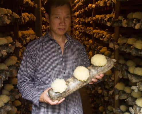 A local farmer showing us his Tremella mushroom grow house