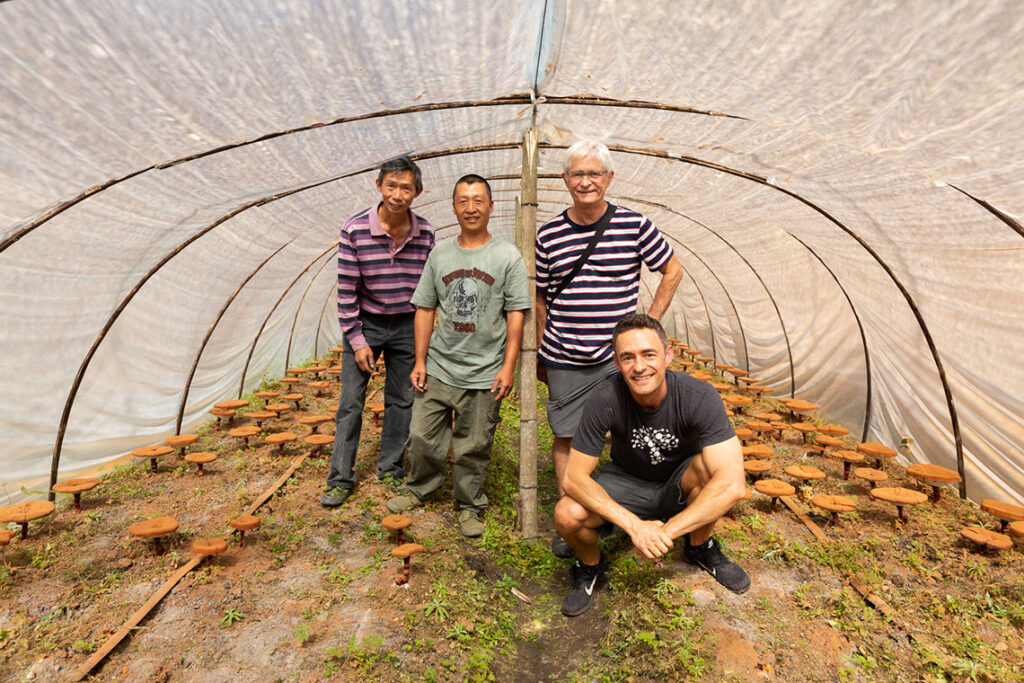 How Nammex Grows Mushrooms