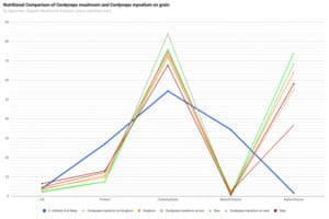 Cordyceps Mycelium on Grain Nutritional Comparison