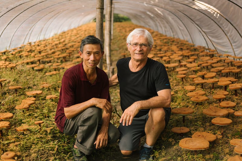 Jeff Chilton with Reishi Mushroom Farmer