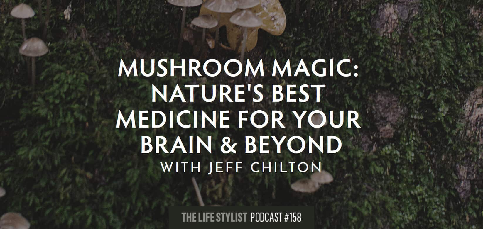 The Lifestylist podcast 158