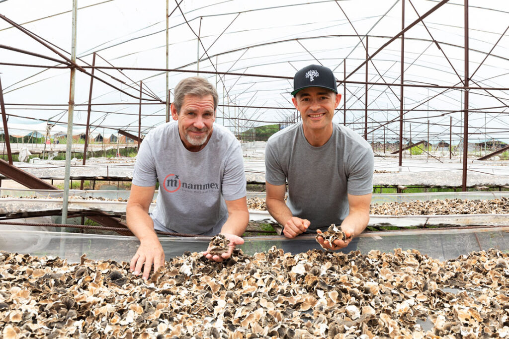 Nammex Achieves a Breakthrough in Mushroom Cultivation