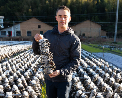 A man standing in a field of pine cones in China.