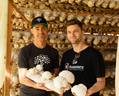 Two men standing in front of a room full of mushrooms.