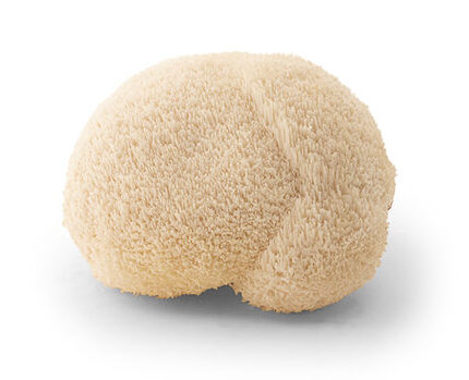 lion's mane