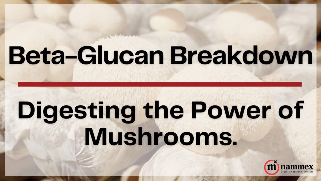 Beta-Glucan Breakdown | Digesting the Power of Mushrooms.
