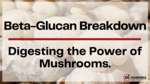Beta-Glucan Breakdown | Digesting the Power of Mushrooms nammex