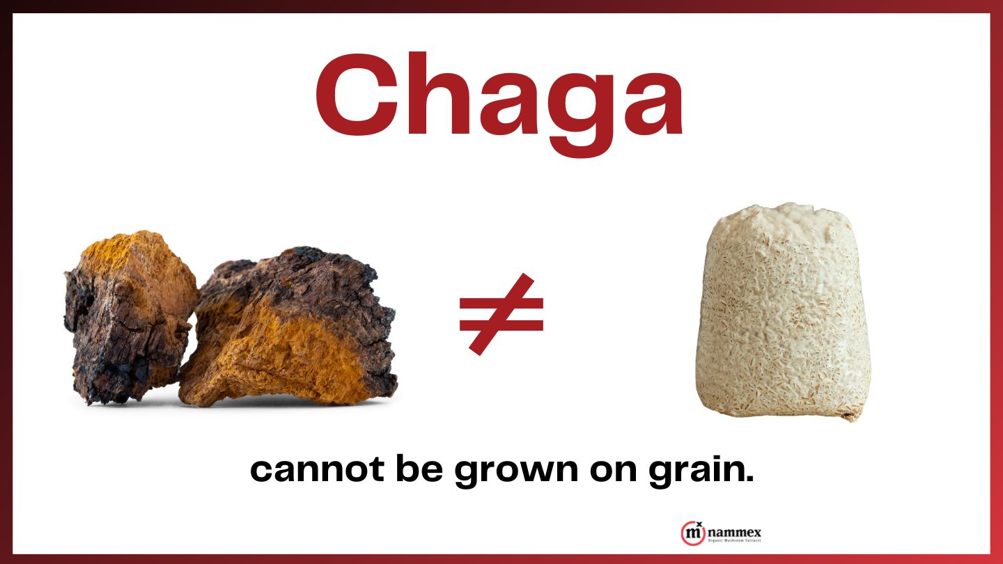 Chaga mushroom on the left does not equal a white block of cultivated mushroom growth. Text below states, "cannot be grown on grain." Nammex emphasizes the importance of such clarity using advanced analytical techniques.