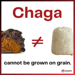 Chaga mushroom on the left does not equal a white block of cultivated mushroom growth. Text below states, "cannot be grown on grain." Nammex emphasizes the importance of such clarity using advanced analytical techniques.