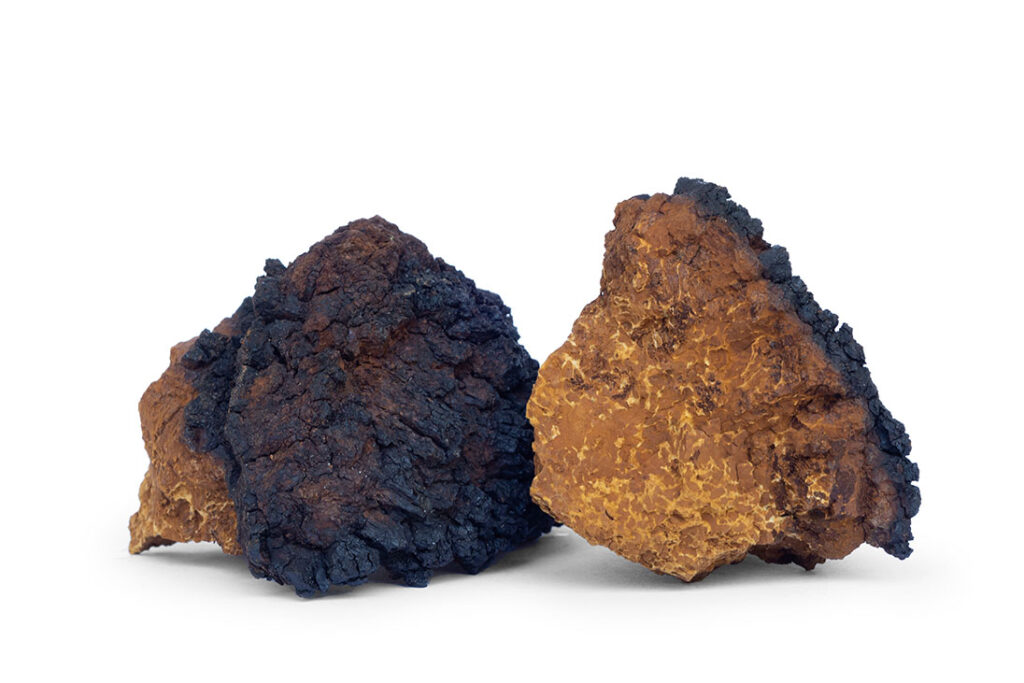 Nammex Clarifies Findings on Comparative Study of Dietary Supplements Labeled as “Chaga”