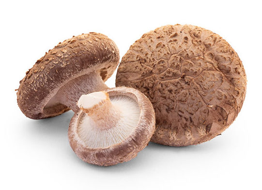 Shiitake