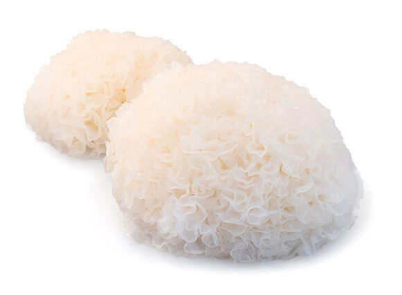 Tremella