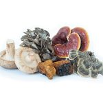 Mushroom Immune Complex