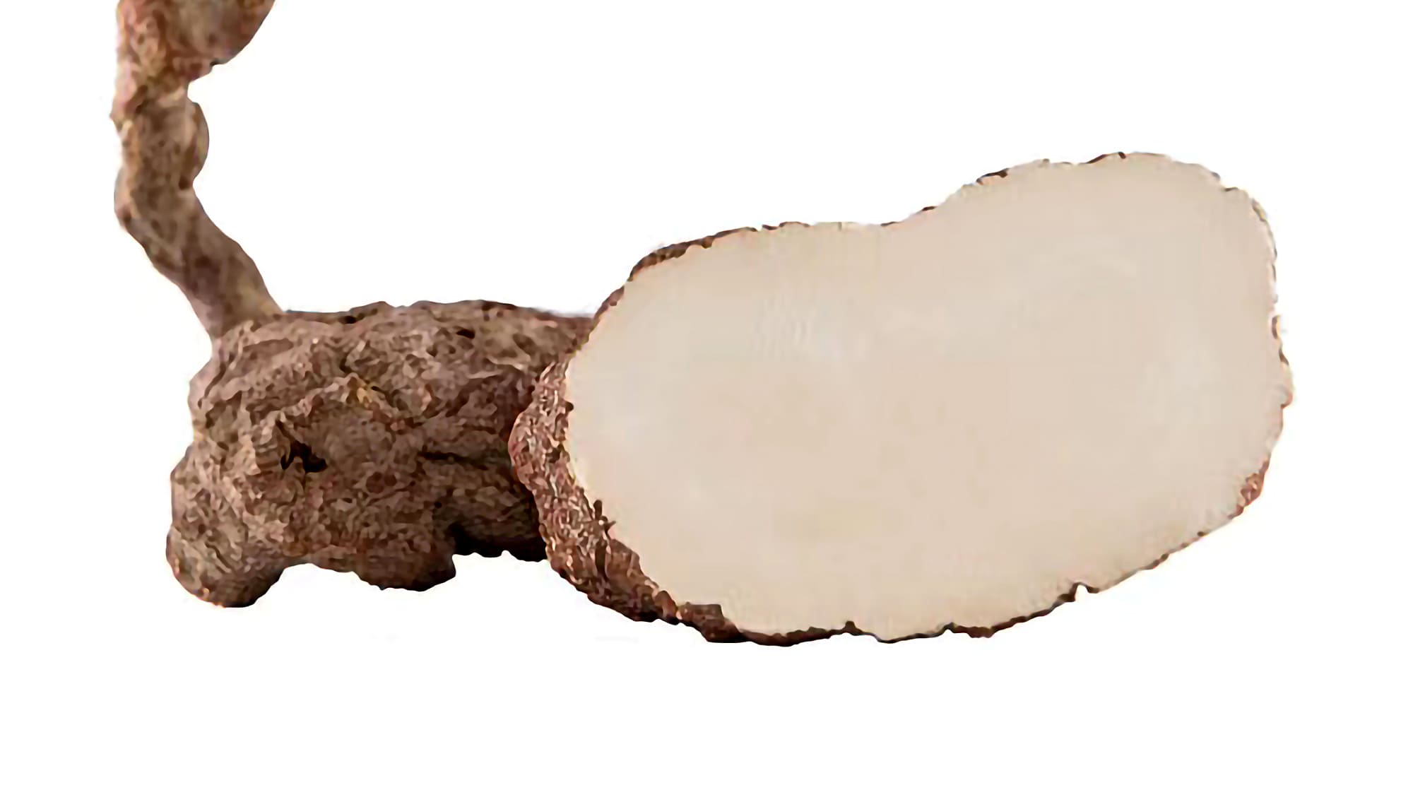 Tiger's Milk extract